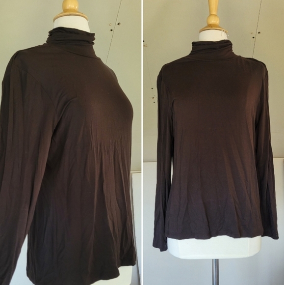 Style & Co Brown Long Sleeve Turtleneck Size L | Fall Fashion - Picture 1 of 5